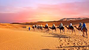 Local Wisdom of the People Living in the Sahara Desert
